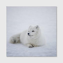 Холст квадратный Полярная лисичка, цвет: 3D-принт — фото 2