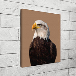 Холст квадратный Белоголовый орлан птица, цвет: 3D-принт — фото 2