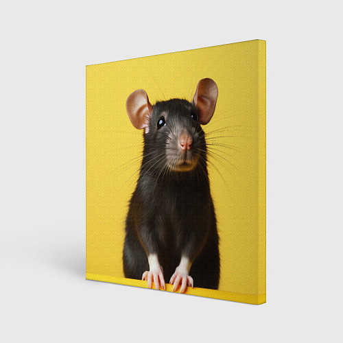 Картина квадратная Крыса черная / 3D-принт – фото 1