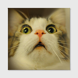 Холст квадратный Удивленный кот - мем крупным планом, цвет: 3D-принт — фото 2