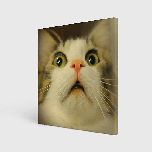 Картина квадратная Удивленный кот - мем крупным планом / 3D-принт – фото 1