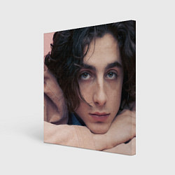 Картина квадратная Timothe Chalamet on a pink background