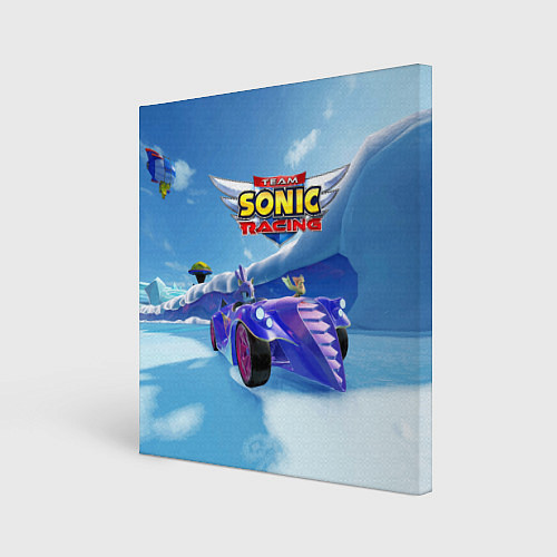 Картина квадратная Blaze the cat - team Sonic racing / 3D-принт – фото 1
