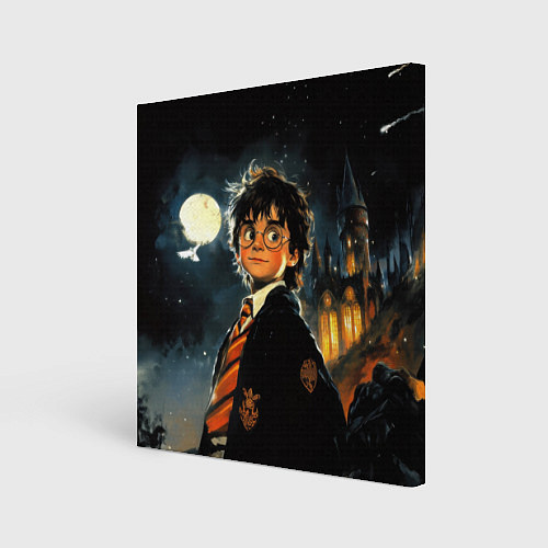 Картина квадратная Гарри Поттер глубокая ночь / 3D-принт – фото 1