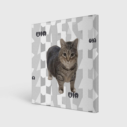 Картина квадратная Кот уиа / 3D-принт – фото 1