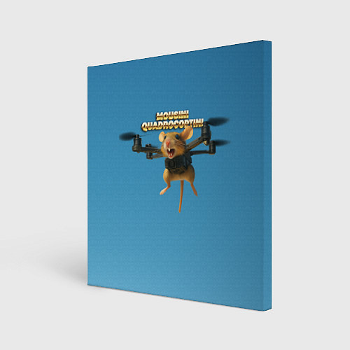 Картина квадратная Mousini Quadrocoptini мем / 3D-принт – фото 1