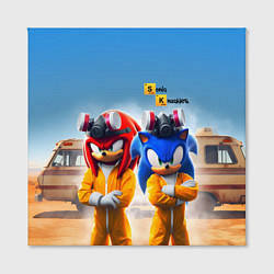 Холст квадратный Sonic and echidna Knuckles - Breaking bad soap ope, цвет: 3D-принт — фото 2