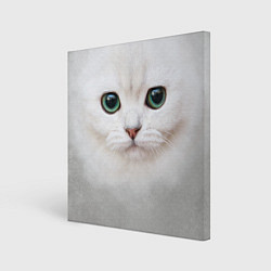 Холст квадратный Белый котик, цвет: 3D-принт