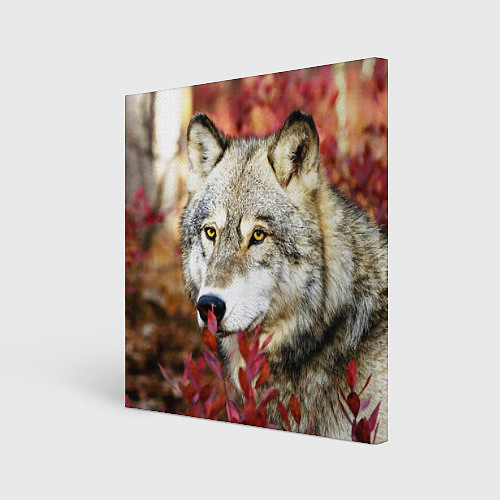 Картина квадратная Волк в кустах / 3D-принт – фото 1