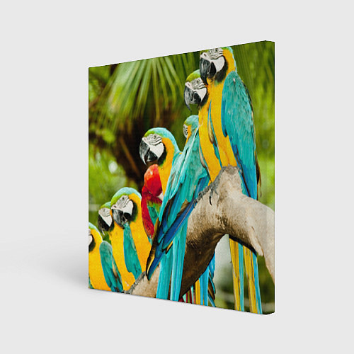 Картина квадратная Попугаи на ветке / 3D-принт – фото 1