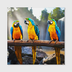 Холст квадратный Экзотические попугаи, цвет: 3D-принт — фото 2