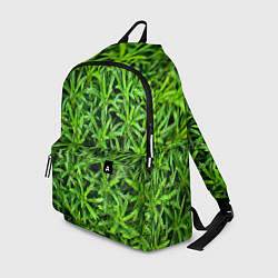 Рюкзак Растения, цвет: 3D-принт