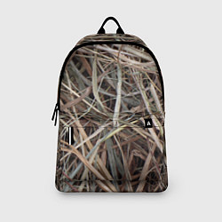 Рюкзак Обычная высохшая трава - авангард, цвет: 3D-принт — фото 2