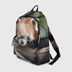 Рюкзак Красная панда, цвет: 3D-принт