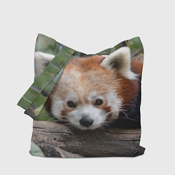 Сумка-шоппер Красная панда