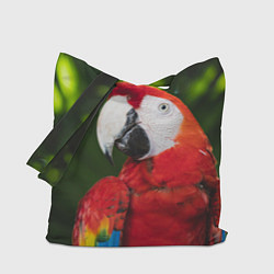 Сумка-шопер Красный попугай Ара, цвет: 3D-принт