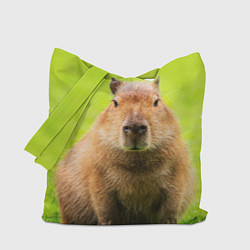 Сумка-шопер Capybara on green grass, цвет: 3D-принт
