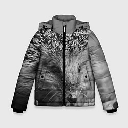Куртка зимняя для мальчика Взгляд ёжика, цвет: 3D-светло-серый