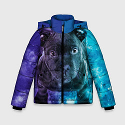 Куртка зимняя для мальчика Милый пёс, цвет: 3D-черный