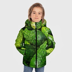 Куртка зимняя для мальчика Огурцы, цвет: 3D-черный — фото 2