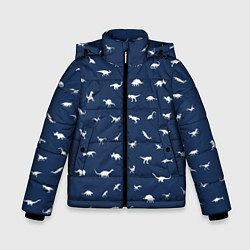 Зимняя куртка для мальчика Dinoworld 2