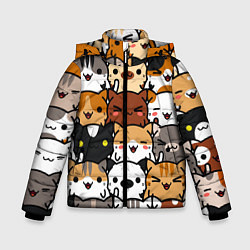 Куртка зимняя для мальчика Коты и котики, цвет: 3D-черный