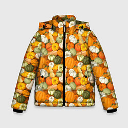 Куртка зимняя для мальчика Тыквы Pumpkin, цвет: 3D-светло-серый