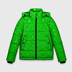 Зимняя куртка для мальчика Зеленый фон с росой