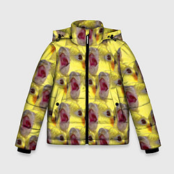 Зимняя куртка для мальчика Попугай Корелла Орёт Мем