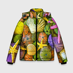 Зимняя куртка для мальчика Композиция из морских звёзд и ракушек