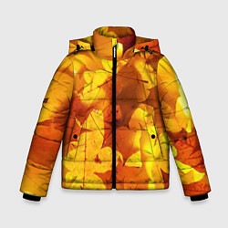 Куртка зимняя для мальчика Осенние золотые листья, цвет: 3D-светло-серый