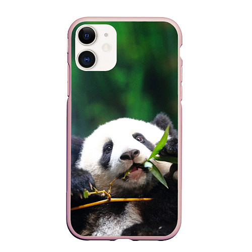 Чехол iPhone 11 матовый Панда на ветке / 3D-Светло-розовый – фото 1