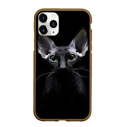 Чехол iPhone 11 Pro матовый Сфинкс 2, цвет: 3D-коричневый