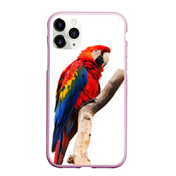 Чехол iPhone 11 Pro матовый Яркий попугай, цвет: 3D-розовый
