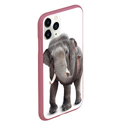 Чехол iPhone 11 Pro матовый Большой слон, цвет: 3D-малиновый — фото 2