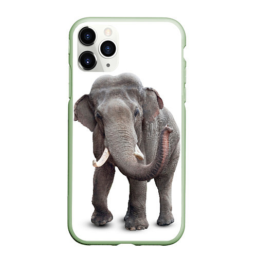 Чехол iPhone 11 Pro матовый Большой слон / 3D-Салатовый – фото 1