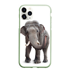 Чехол iPhone 11 Pro матовый Большой слон