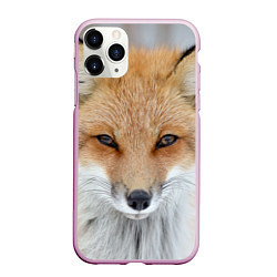 Чехол iPhone 11 Pro матовый Зимняя лиса