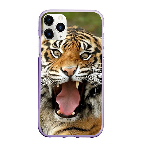 Чехол iPhone 11 Pro матовый Удивленный тигр / 3D-Светло-сиреневый – фото 1