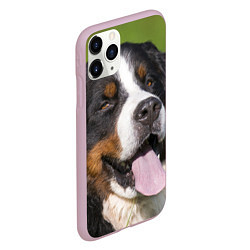 Чехол iPhone 11 Pro матовый Бернский зенненхунд, цвет: 3D-розовый — фото 2