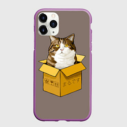 Чехол iPhone 11 Pro матовый Котик в коробке, цвет: 3D-фиолетовый