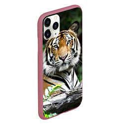 Чехол iPhone 11 Pro матовый Тигр в джунглях, цвет: 3D-малиновый — фото 2