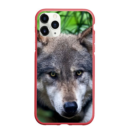 Чехол iPhone 11 Pro матовый Дикий хищник / 3D-Красный – фото 1
