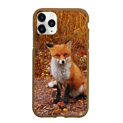 Чехол iPhone 11 Pro матовый Осенняя лиса / 3D-Коричневый – фото 1