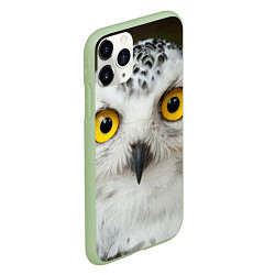 Чехол iPhone 11 Pro матовый Белый филин, цвет: 3D-салатовый — фото 2