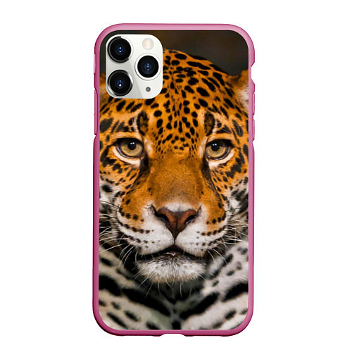 Чехол iPhone 11 Pro матовый Взгляд ягуара / 3D-Малиновый – фото 1