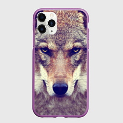 Чехол iPhone 11 Pro матовый Angry Wolf, цвет: 3D-фиолетовый