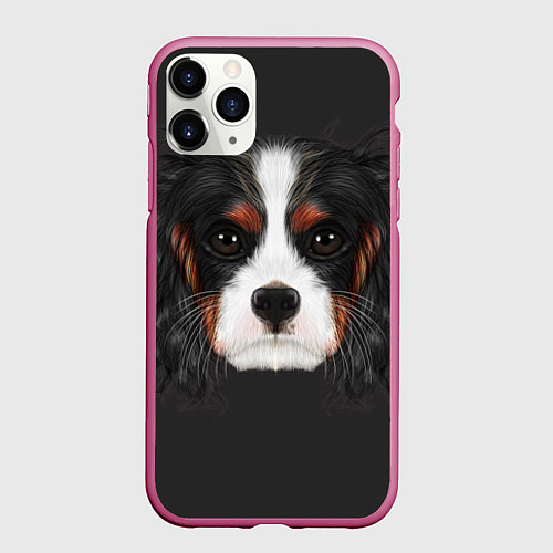 Чехол iPhone 11 Pro матовый Cavalier King Charles / 3D-Малиновый – фото 1