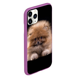 Чехол iPhone 11 Pro матовый Рыжий Шпиц, цвет: 3D-фиолетовый — фото 2