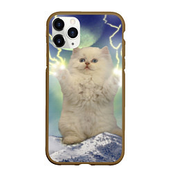 Чехол iPhone 11 Pro матовый Грозовой Котик